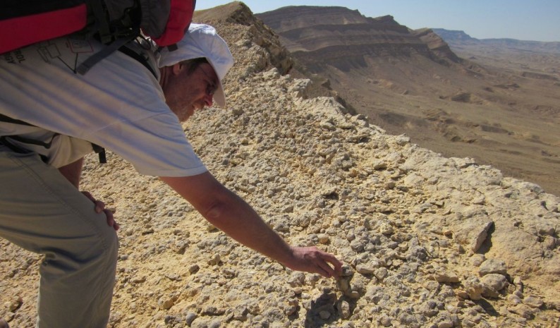 Don looking at fossils _ mostly the oyster species Ilymatogyra (Afrogyra) africana from the Cretaceous period (145 – 65 millions years old).
